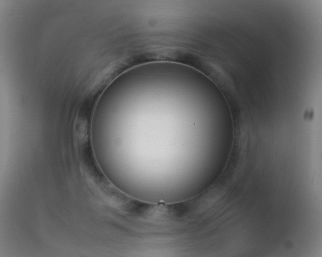 X0000112870123200908211435