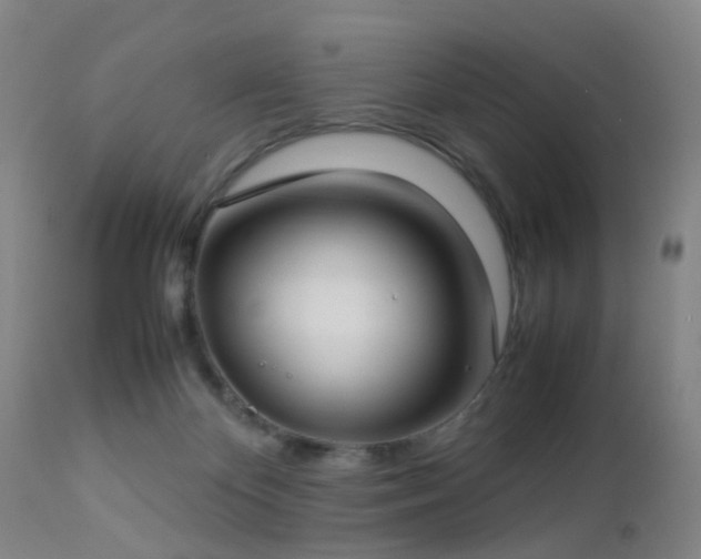 X0000112870124200908211435