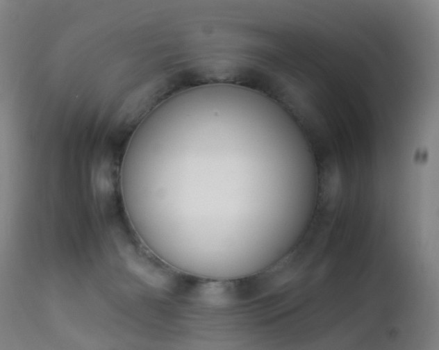 X0000112870126200908211435