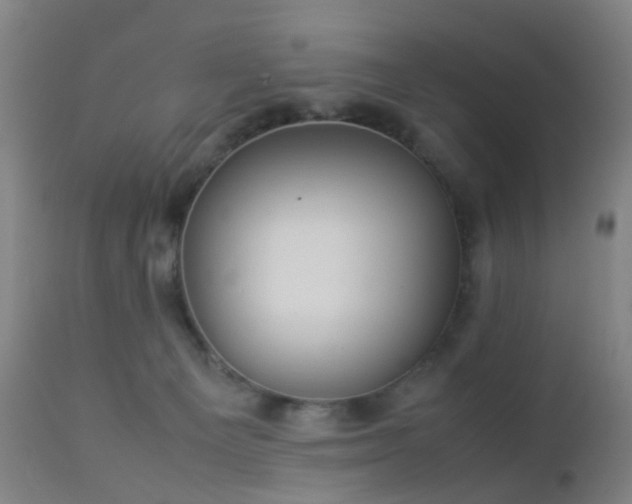 X0000112870129200908211435