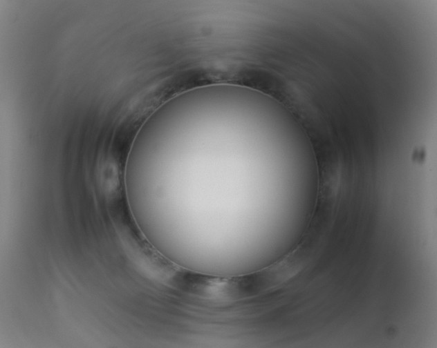 X0000112870130200908211435