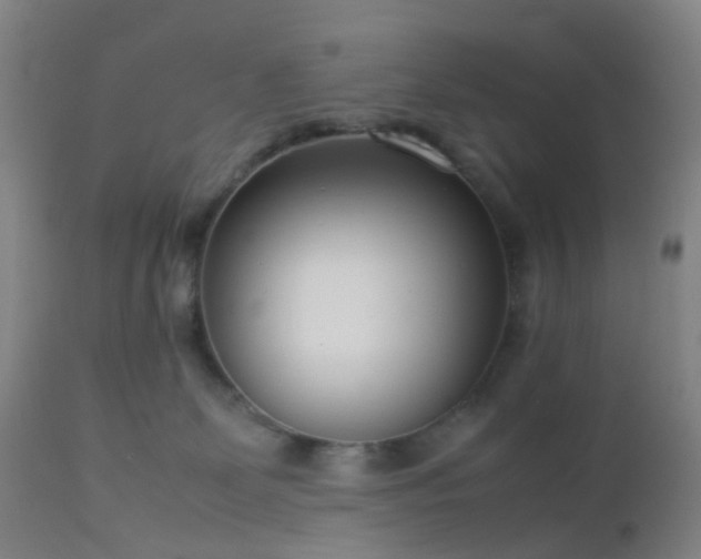 X0000112870131200908211435
