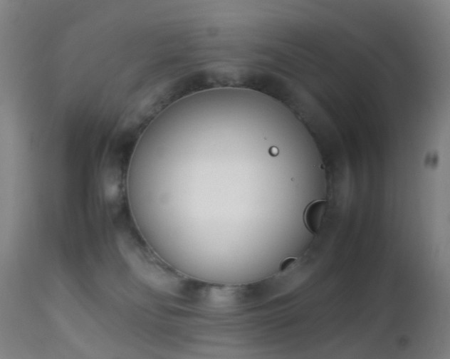 X0000112870134200908211435