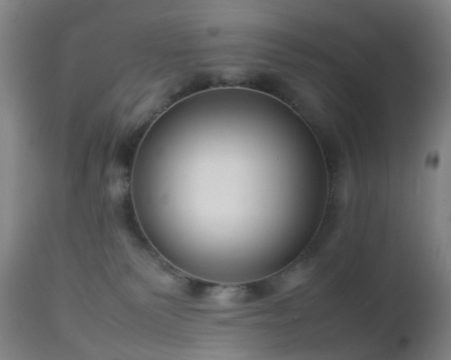 X0000112870135200908211435