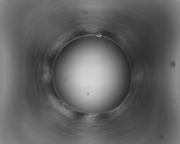 X0000112870136200908211435