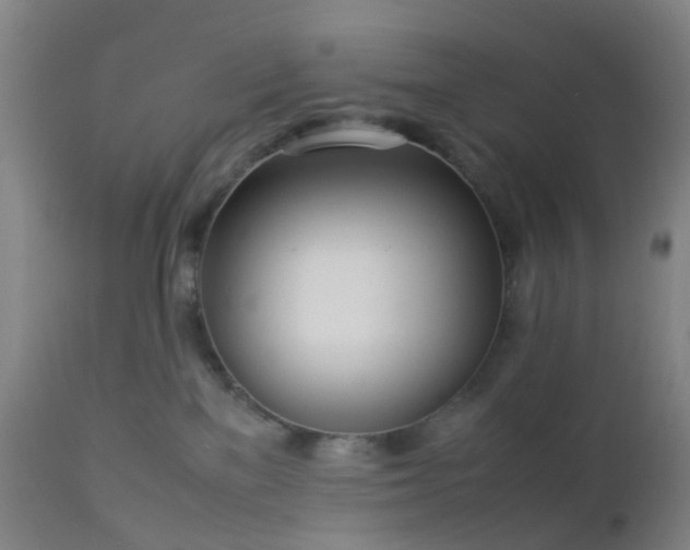 X0000112870137200908211435