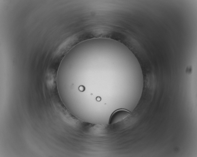 X0000112870138200908211435
