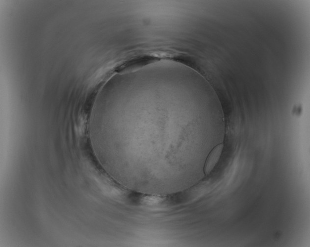 X0000112870139200908211435