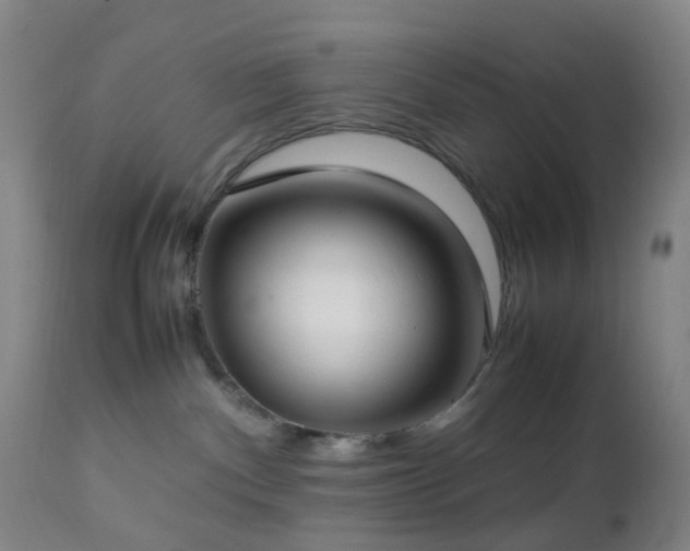 X0000112870140200908211435