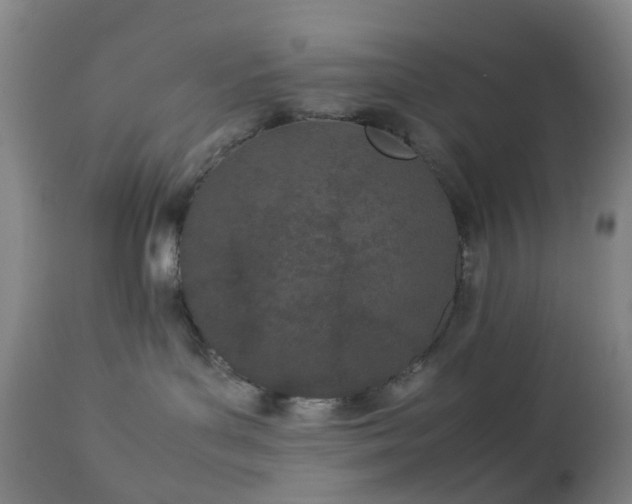 X0000112870143200908211435