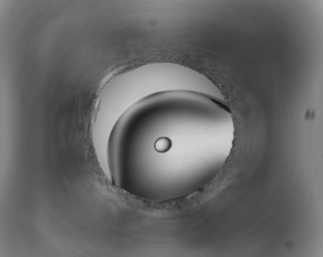 X0000112870144200908211435