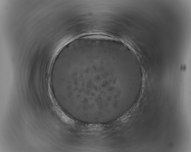 X0000112870145200908211434