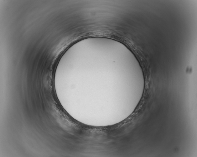 X0000112870146200908211434