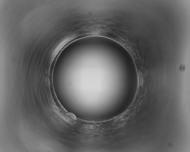X0000112870147200908211434