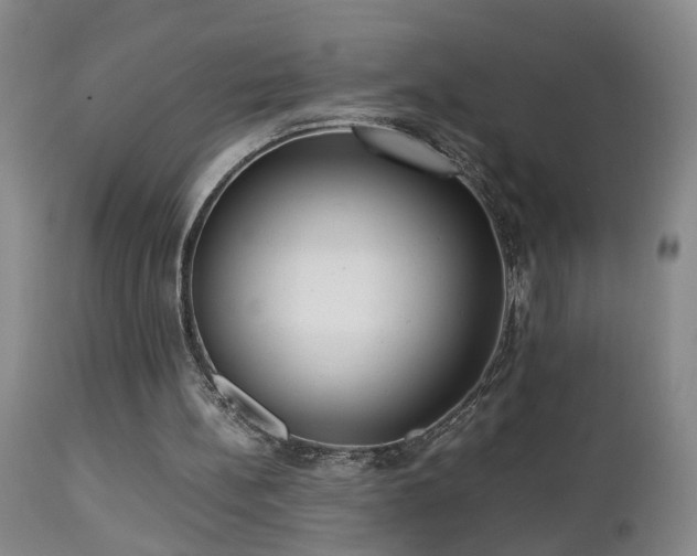 X0000112870148200908211434