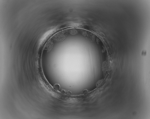 X0000112870149200908211434