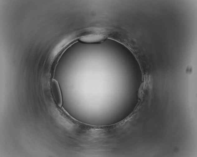 X0000112870150200908211434