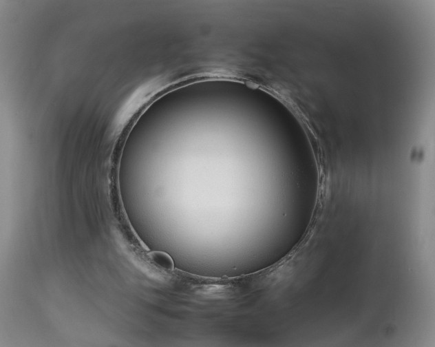 X0000112870151200908211434