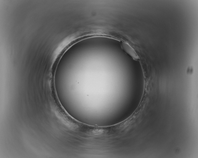 X0000112870152200908211434