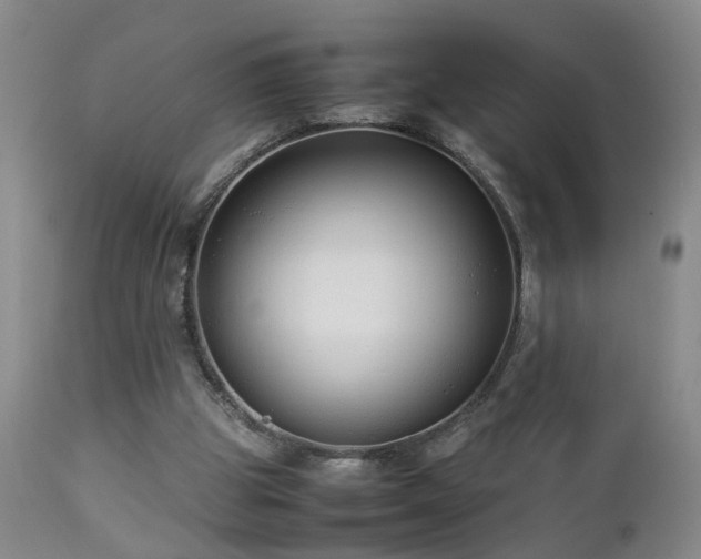 X0000112870153200908211434