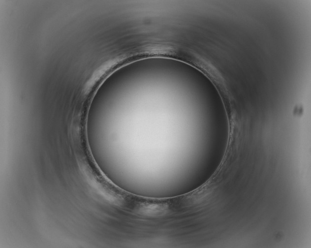 X0000112870155200908211434