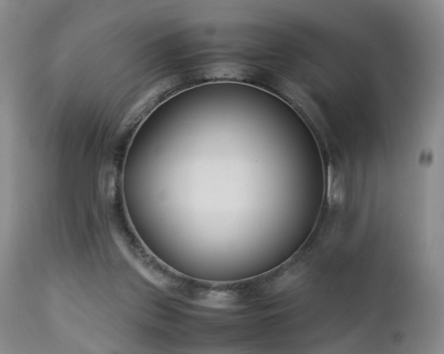 X0000112870157200908211434