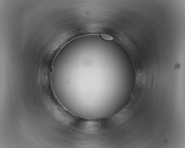 X0000112870158200908211434