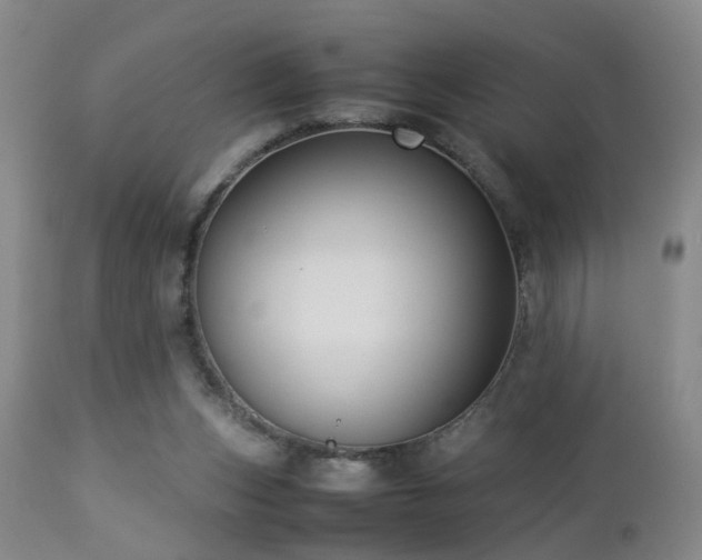 X0000112870159200908211434