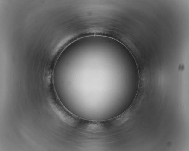 X0000112870160200908211434