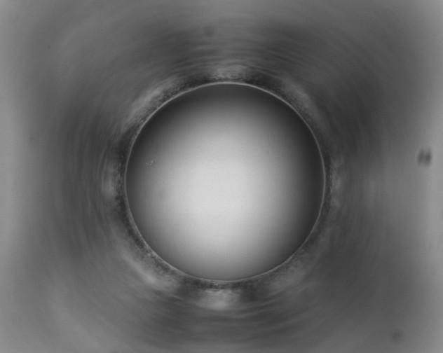 X0000112870161200908211434