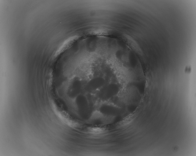 X0000112870163200908211434