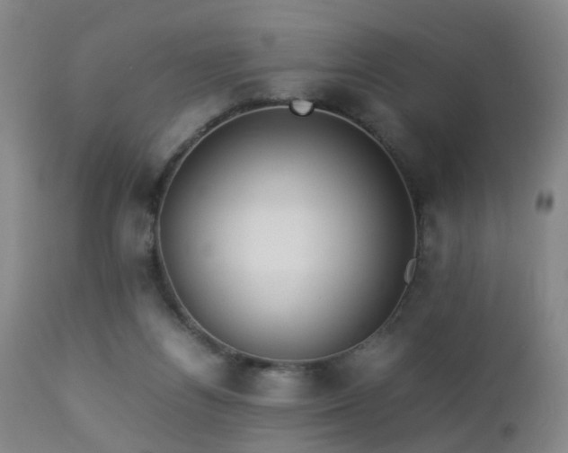 X0000112870164200908211434
