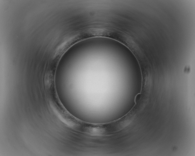 X0000112870165200908211434