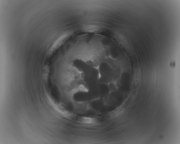 X0000112870167200908211434