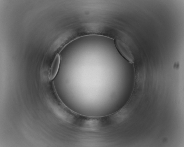 X0000112870168200908211434