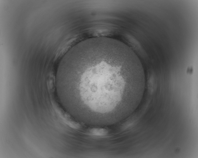 X0000112870169200908211434