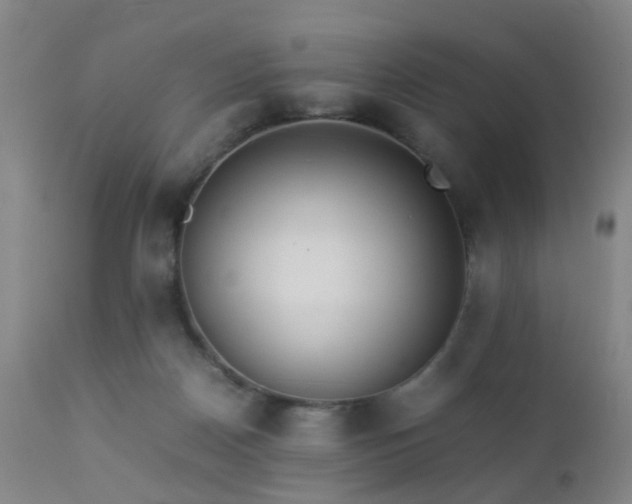 X0000112870170200908211434