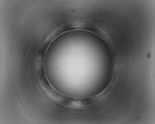 X0000112870171200908211434