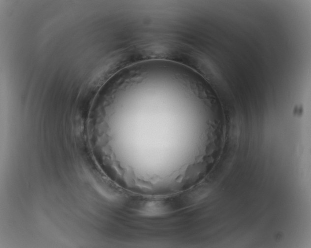 X0000112870173200908211434