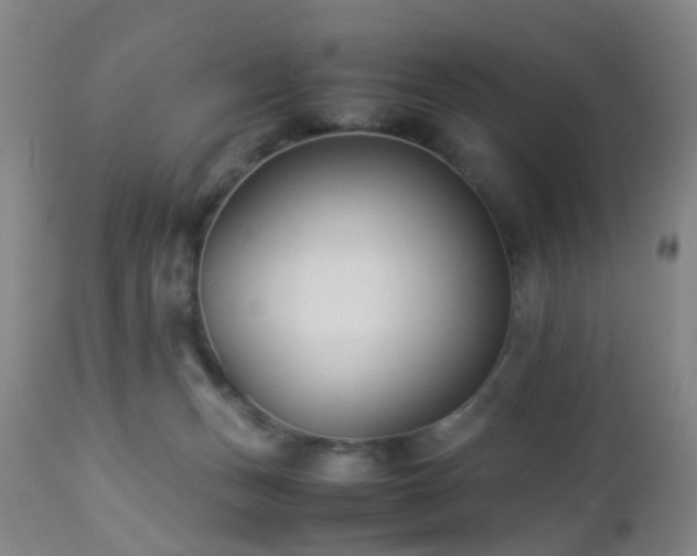X0000112870175200908211434