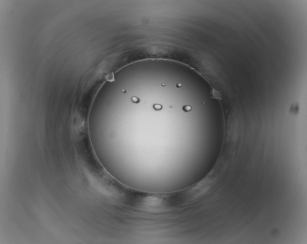 X0000112870176200908211434