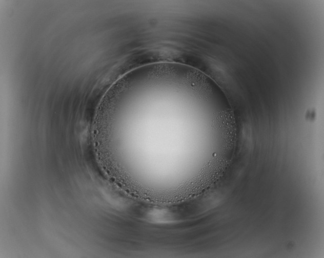 X0000112870177200908211434