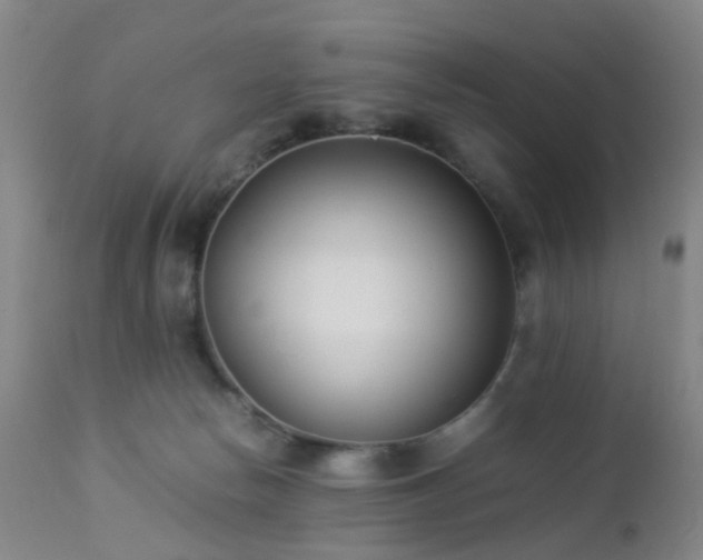 X0000112870178200908211434