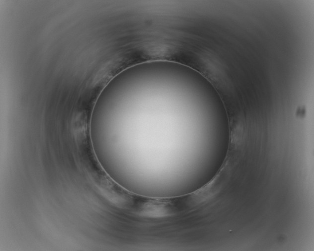 X0000112870179200908211434