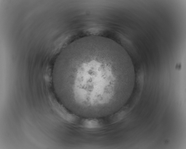 X0000112870181200908211434