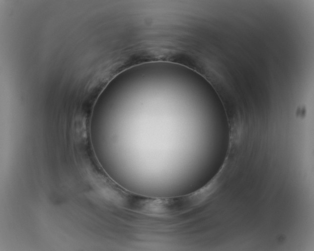 X0000112870182200908211435