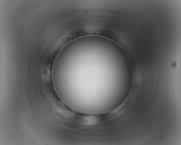 X0000112870183200908211435