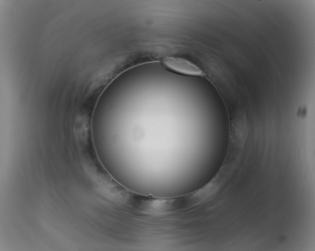 X0000112870184200908211435
