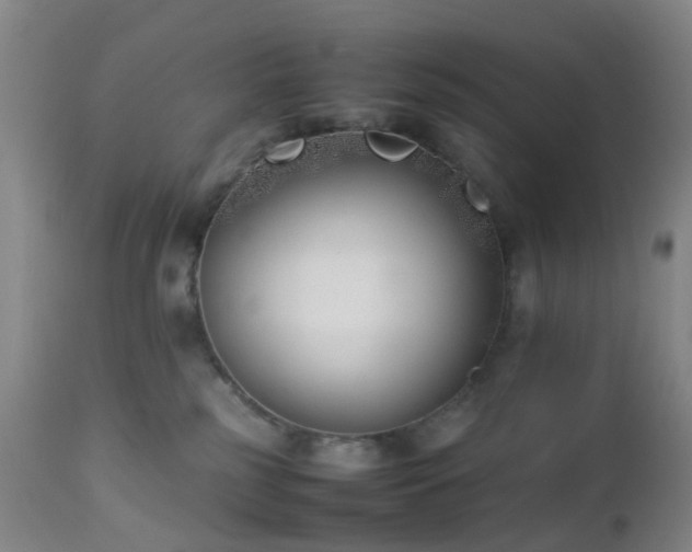 X0000112870185200908211435