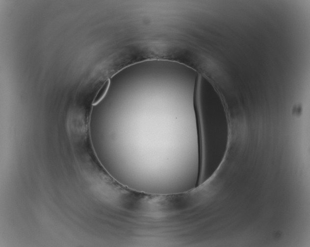 X0000112870186200908211435
